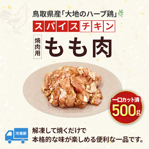 【鳥取県産 大地のハーブ鶏】 スパイスチキン 焼肉 500g KC235 もも肉 鶏肉 チキン