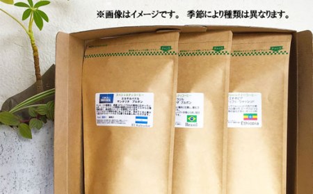 挽き方が選べます！自家焙煎ハイグレードコーヒーを含むおまかせセット(中挽き) / ハイグレードコーヒー ブレンド コーヒー 豆 中挽き / 諫早市 / R and R coffee labo [AHC