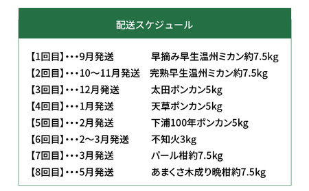 S040-019A_【定期便8回】天草 下浦地区の農家が愛情込めて育てた柑橘8種食べ尽しコース〈先行予約〉/ ポンカン みかん 晩柑 柑橘 不知火 ミカン