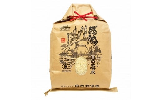 【通常パッケージ】令和7年産 熊本県菊池産 ヒノヒカリ 玄米 5kg 七城物語 高野さんちの自然栽培米 米 お米 こめ コメ 《30日以内に出荷予定(土日祝除く)》