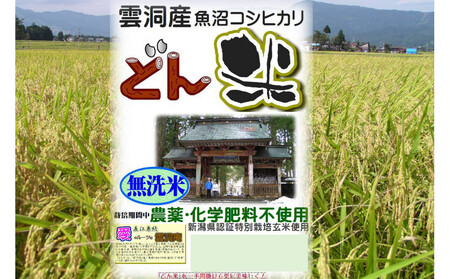 【頒布会】南魚沼産「どん米」無洗米３升×５ヶ月　ちょっと！うるさいよ！炊き方