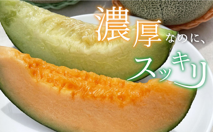 【先行予約】【2025年6月順次発送】やしろ農園の椿メロン 赤肉 緑 メロン フルーツ 果物 食べ比べ 五島市 / いきいきファーム [PCY008]