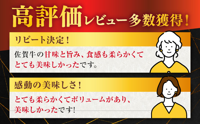 【2026年1月発送】佐賀牛 ヒレ ステーキ 600g【桑原畜産】 [NAB077] 牛肉 佐賀県産 黒毛和牛 ヒレステーキ フィレ ヘレ