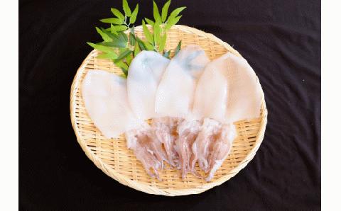 【山陰浜田港・水揚げ】 白いか一夜干し（４枚） 魚介類 魚貝類 干物 干もの 一夜干し お中元 お歳暮 白いか 特産品 つまみ 加工品 【961】