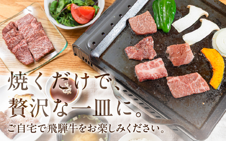 飛騨牛 焼肉 5種 食べ比べセット（各100g）計500g （カルビ・肩・モモ・ロース・トモサンカク）【22-53】
