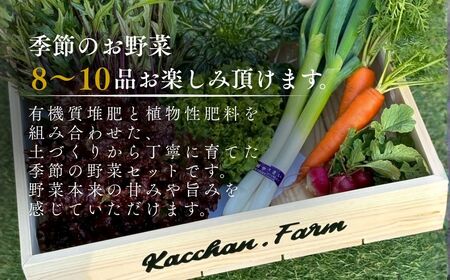 季節の野菜詰め合わせ Bセット 野菜食べ比べ 旬の野菜 野菜セット | 石川県 小松市【Kacchan.Farm】