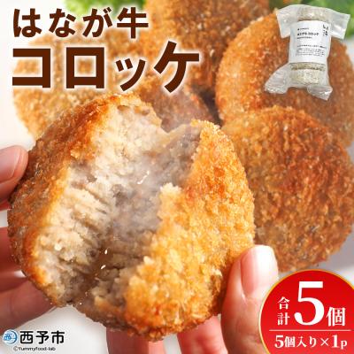 ふるさと納税 西予市 &lt;はなが牛コロッケ 計5個&gt; 5個入り オリジナル おつまみ お肉 牛肉 はなが牛 国産