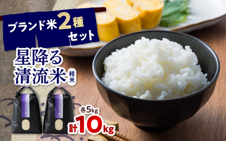 2025年9月以降発送【premium】星降る清流米　天-TEN-・凰-OU-【1320197】