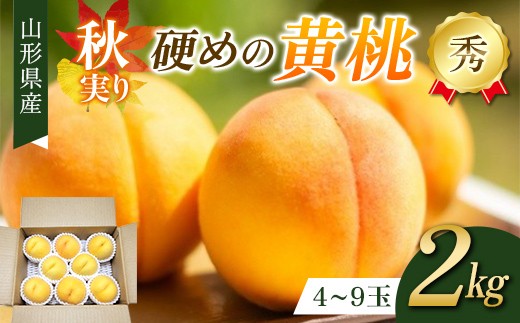 
                  秋実り 硬めの黄桃 2kg 秀品 FSY-2746
                