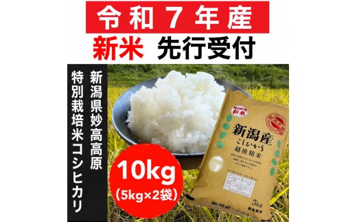 【令和7年産新米・先行予約】新潟県妙高高原減農薬特別栽培米コシヒカリ 10kg（5kg×2袋）【10月下旬から11月上旬発送予定】