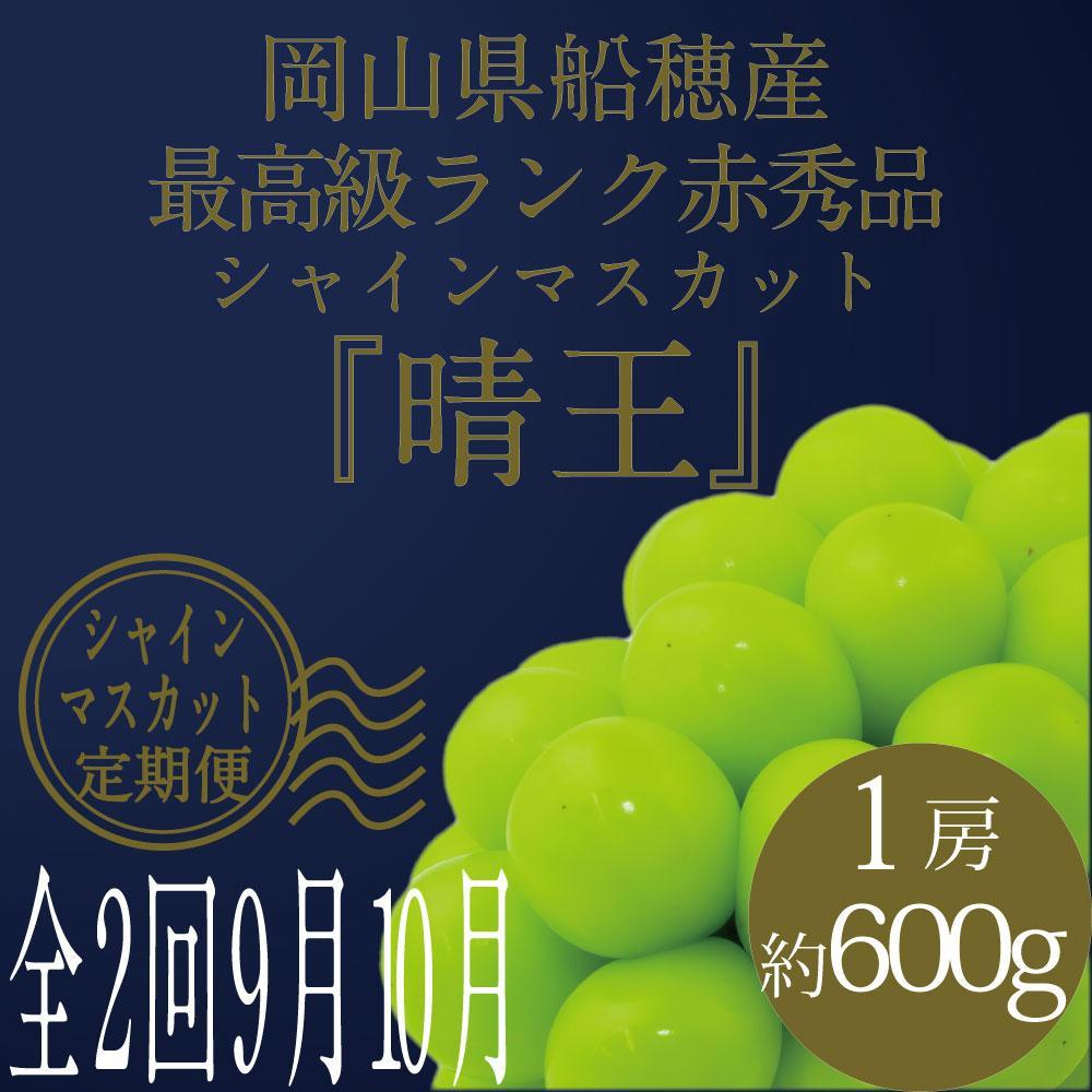 【ふるさと納税】[HS]【定期便 全2回】ぶどう 2026年 9月・10月発送 最高級品シャイン マスカット 晴王 1房 約600g ブドウ 葡萄 岡山県産船穂産 フルーツ 果物 ギフト | フルーツ 果物 くだもの 食品 人気 おすすめ 送料無料