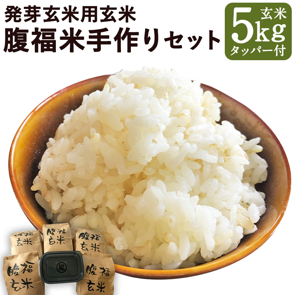 【ふるさと納税】発芽玄米用玄米 腹福米手作りセット 玄米 5kg タッパー 1個 ヒノヒカリ 令和6年度 米 お米 発芽玄米 熟成米 熊本県産 九州産 国産 益城町 送料無料【2025年11月上旬より順次発送予定】