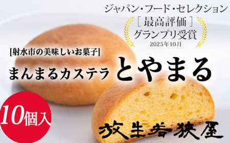 【射水の美味しいお菓子】放生若狭屋 まんまるカステラ とやまる 10個入（イナガキヤストデザイン） ※離島への配送不可