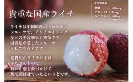 ＜宮崎県産 生ライチ 500g＞2025年7月上旬～7月下旬迄に順次出荷【c644_mk_x5】