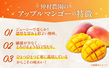 【贈答用】完熟アップルマンゴー1kg マンゴー 沖縄 果物 フルーツ ギフト 沖縄市 / 仲村農園 マンゴージュース マンゴープリン[BCCU002]