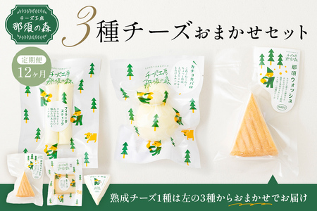 【チーズ工房那須の森】【定期便12ヵ月】 那須の森3種チーズおまかせセット（カチョカバロ＋フィラータスティック＋おまかせチーズ1種） ns003-002
