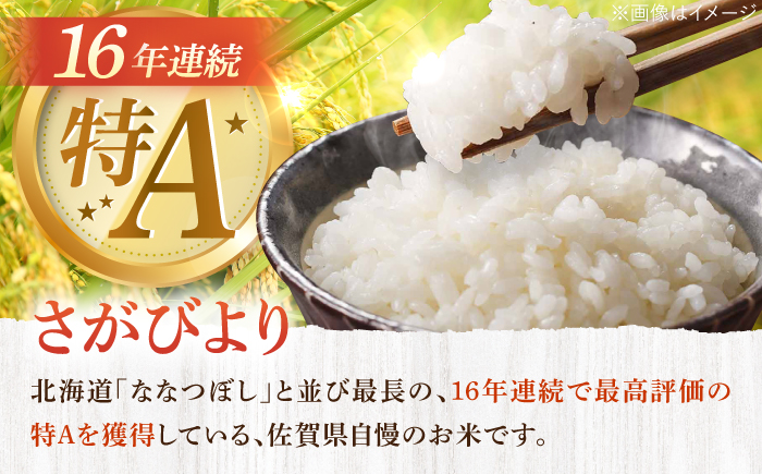 ＜16年連続最高評価特A＞特別栽培米 さがびより 白米 20kg（5kg×4袋） 配送前精米/江口農園 [UBF033] 米 精米