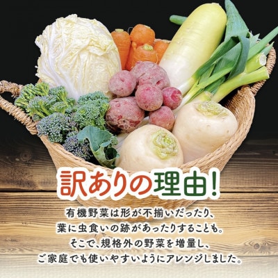 【毎月定期便】しあわせ野菜畑のシェフMセット　(訳あり規格外の有機野菜を一部使用)全12回【配送不可地域：離島・北海道・沖縄県・四国・九州】