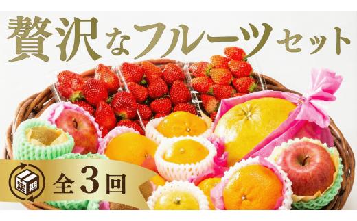 B112 選べる！ご褒美フルーツ定期便（年3回）