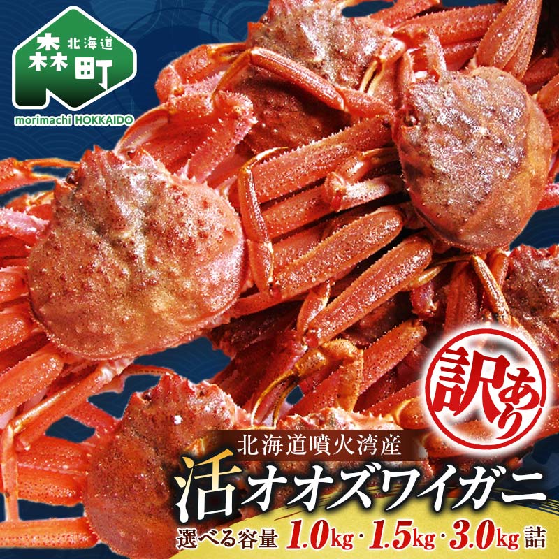 【ふるさと納税】【選べる容量・配送月】【先行予約】【訳あり】北海道噴火湾産 活オオズワイガニ 1～1.5kg 10000円 12000円 ＜道産ネットミツハシ＞ 配送時期が選べる 生産者応援 かに カニ 蟹 ずわい蟹 北海道産 鍋 かにすき かにしゃぶ 海鮮 わけあり ご自宅用 mr1-0352