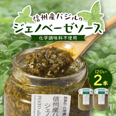 【ふるさと納税】朝採れ信州産バジルのジェノベーゼソース 120g×2本【1437639】