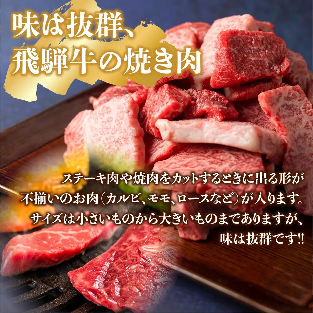 訳あり 飛騨牛焼肉切落し 500g  |  牛肉 牛肉 [BV031]　FN-Limited-SP