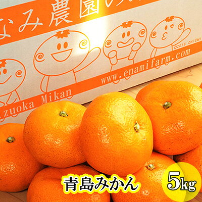 【ふるさと納税】フルーツ 静岡県浜松市産 5kg L～2Lサイズ 果物類 柑橘類 ミカン 高糖度 完熟 【2025年12月下旬以降順次発送】えなみ農園の青島みかん　お届け：2026年12月下旬～2027年2月中旬