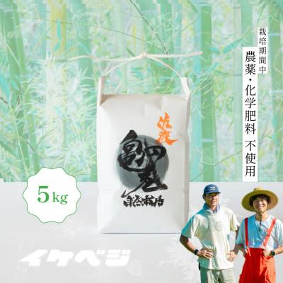 ふるさと納税 佐渡市 【発送月固定定期便】【亀の尾】白米 5kg 新潟県佐渡産全6回