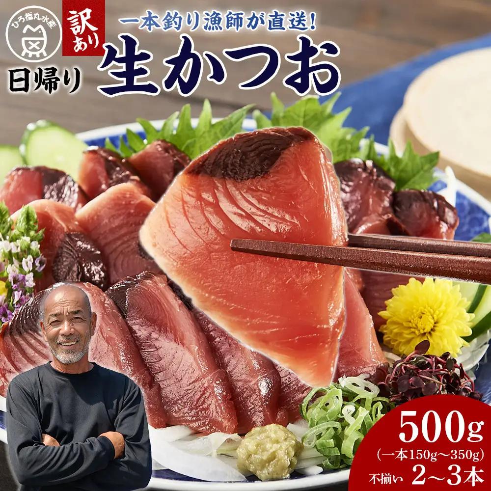 かつお 直送 生かつお 訳あり 500g入