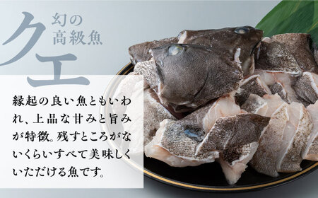 アラ（クエ）鍋用 カット 約1.8kg  [WAE002] くえ クエ クエ鍋 鍋 