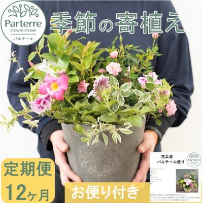 ふるさと納税 北上市 【毎月定期便】季節の寄せ植え　全12回