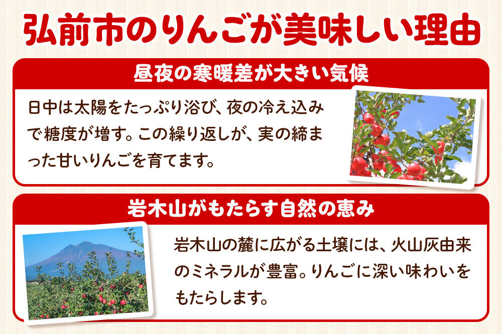 【26年12月発送】サンふじ【家庭用】約3kg 小玉 先行受付 青森県 弘前市 果物 フルーツ 林檎 リンゴ くだもの 不揃い 規格外 [先行予約 産地直送 アップル おいしい 果実 美味 甘い 赤色