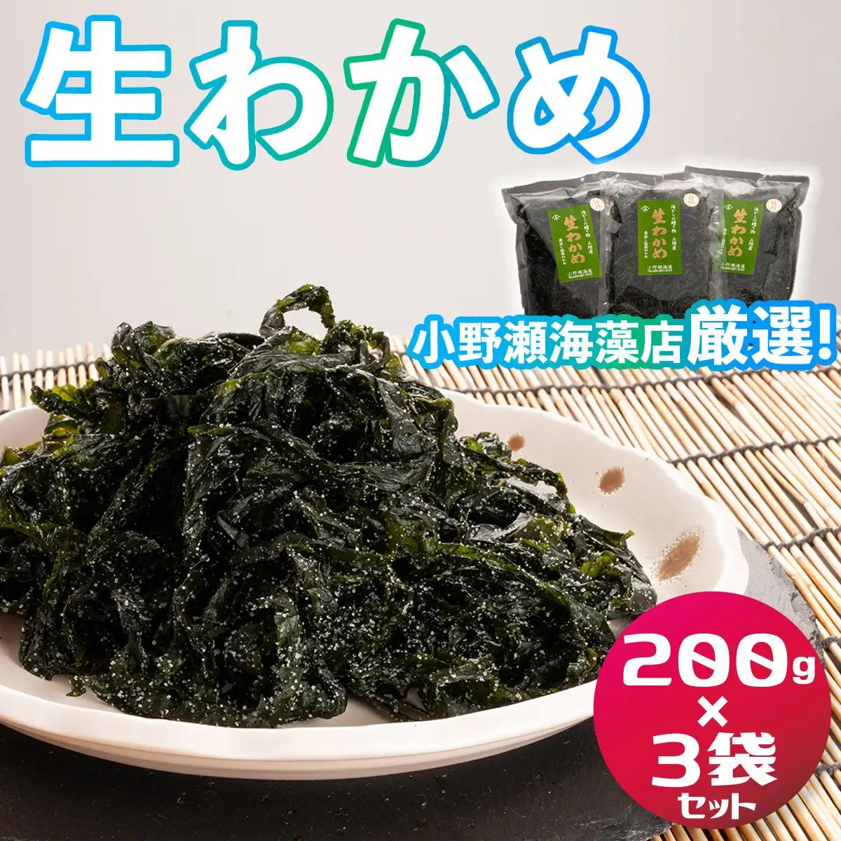 三陸産生わかめ 200g×3袋 セット _AJ002