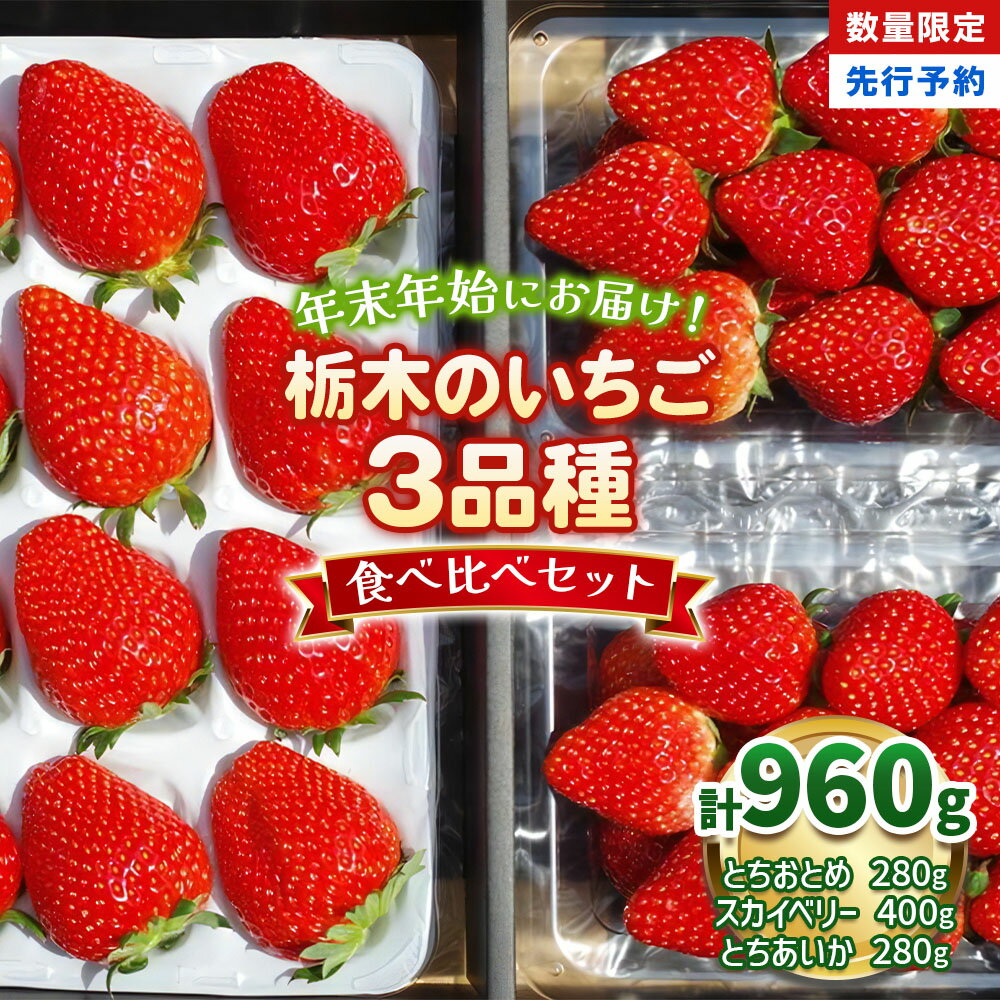【ふるさと納税】【先行予約】【数量限定】 年末年始にお届け！贅沢な栃木のいちご3種食べ比べセット＜2025年12月から2026年1月までの期間で収穫・順次発送予定＞｜とちあいか とちおとめ スカイベリー いちご 苺 フルーツ 果物 産地直送 栃木県 矢板市