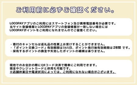 LOCOPAYデジタル返礼ポイント【30,000ポイント】_B167-004
