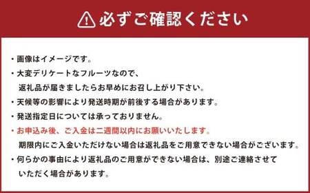 岡山県産 マイハート 1房 （約500g） 【2026年9月上旬～11月上旬まで順次発送予定】 ぶどう 葡萄 ブドウ フルーツ 果物 果実 ハート型 種なし 皮ごと 岡山県 倉敷市 冷蔵