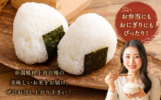 【新米受付・令和8年産米】【定期便：3ヶ月連続でお届け】新潟県村上市岩船産 棚田米コシヒカリ「たかねの花」 10kg×3ヶ月　1104005N