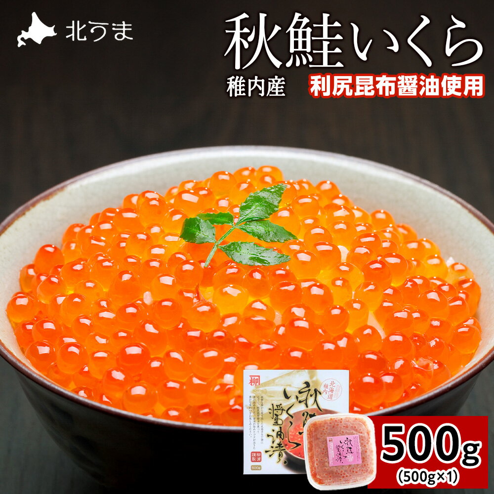 【ふるさと納税】【宗谷海峡産】秋鮭いくら醤油漬け500g いくら イクラ 魚卵 海鮮 魚介 秋鮭 醤油漬け 鮭 便利 500g 北海道 国産 産地直送 送料無料 人気 お取り寄せ おすすめ 天然 贈答 ギフト グルメ 宗谷海峡 冷凍 【配送不可地域：離島】