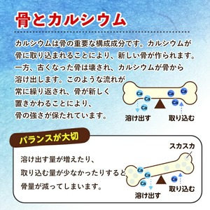No.1289-A ＜定期便・全3回(隔月)＞カルシウム(1袋186粒入・2袋×3回 計6袋) 鹿児島 日置市 健康食品 サプリ 栄養バランス 食生活 安心安全 カルシウム 乳製品 歯 骨 にぼし 煮