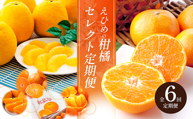 
            えひめの柑橘セレクト6回定期便【11月 日の丸みかん 12月 紅まどんな 1月 伊予柑 2月 甘平 3月 せとか 4月 河内晩柑 柑橘 みかん 愛媛 高級 JA 正規品 まるごと 季節 旬 甘い フルーツ 果物】　 [№5310-0133]
          