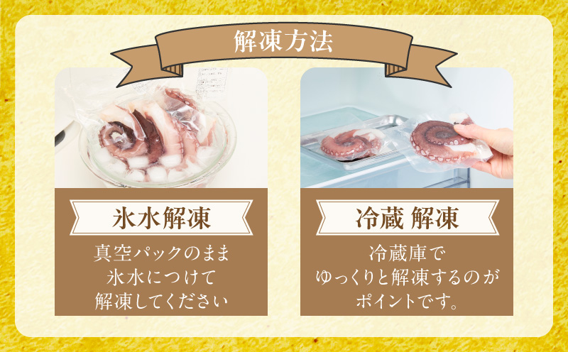 【期間限定】冷凍ボイルタコ 足のみ 合計1.1kg（100g前後×7～14パック）たこ 刺身 個包装 酒の肴 酢の物 唐揚げ たこぶつ 099H3804-1