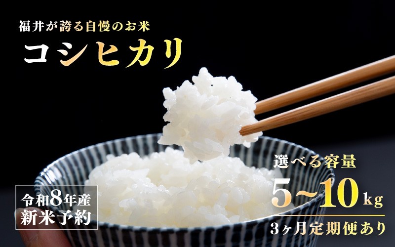 
                  【先行予約】【2026年11月以降順次発送予定】令和8年産 新米 コシヒカリ 5kg / 10kg（5kg×2袋） / 10kg（5kg×2袋）× 3回 [C-10112] / コメ 米 お米 精米 ご飯 ごはん こしひかり 米農家 福井県産 福井県鯖江市
                