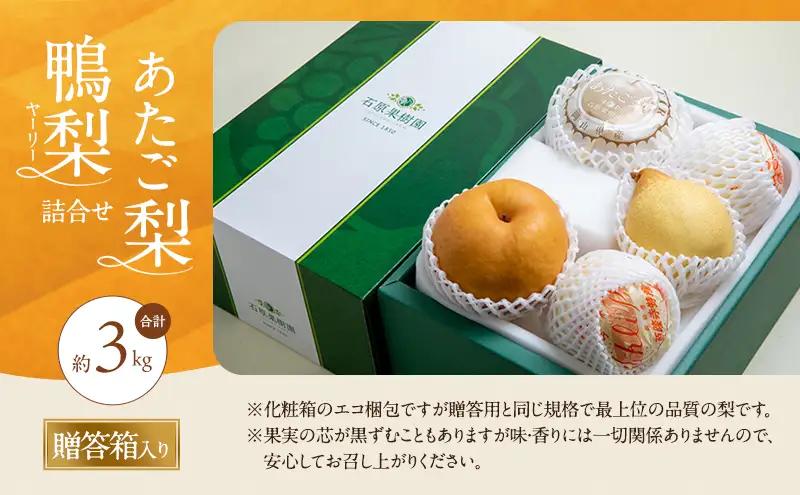 梨 2026年 先行予約 あたご梨・鴨梨（ヤーリー）詰合せ 合計約3kg あたご1～3玉 鴨梨3～5玉 贈答箱【11月下旬～12月中旬頃発送】 ナシ なし 岡山県産 国産 フルーツ 果物 ギフト 石原