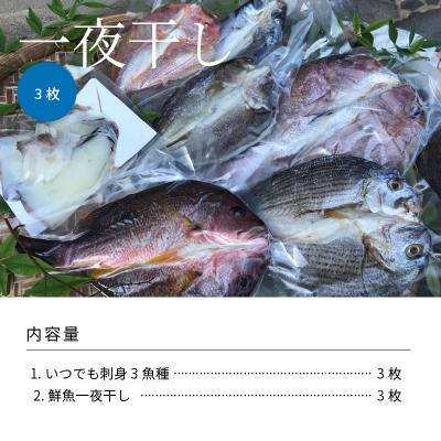 ふるさと納税 天草市 いつでも刺身 3魚種 3枚&鮮魚一夜干し 3枚セット_S059-005A |  | 02