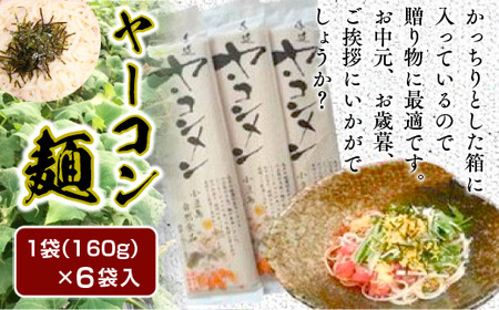 AZ0101 ヤーコン麺 6袋 1袋 160g（約2人前） もちもち食感 食物繊維
