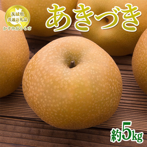 【先行予約限定】 茨城県産【あきづき梨】約5kg【茨城県共通返礼品　かすみがうら市産】※2025年9月上旬～10月下旬頃に順次発送予定 ※離島への配送不可