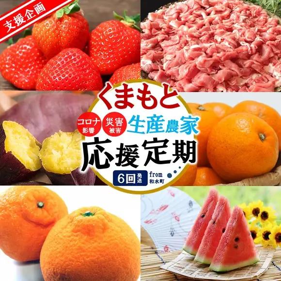 【定期便６回】支援企画！くまもと生産農家応援 定期便 ！ コロナ影響・災害被害 肉 野菜 フルーツ