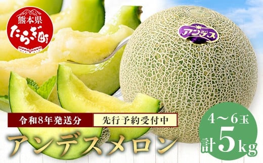 【2026年4月下旬以降発送分】アンデスメロン 4玉～6玉 (1箱5kg) 先行予約 熊本県 多良木町産 果物 フルーツ メロン 先行予約 5kg 青肉 期間限定 数量限定 012-0556-2026