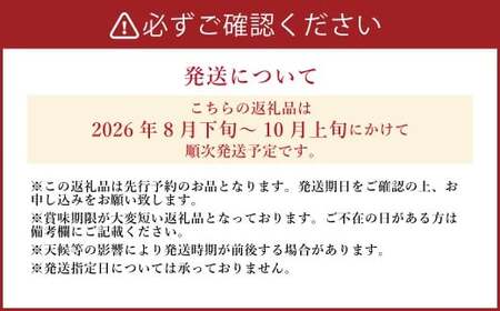 《先行予約》山之上の梨（品種はおまかせ） 約5kg（8～14玉） 16000円 1万6千円 愛甘水 幸水 豊水 あきづき 秋のほほえみ 甘太 なし ナシ 梨 フルーツ 冷蔵 岐阜県産 国産 送料無料 