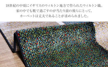 02-AW-0126・ウィルトンカーペット パレット 160×230ｃｍAA438